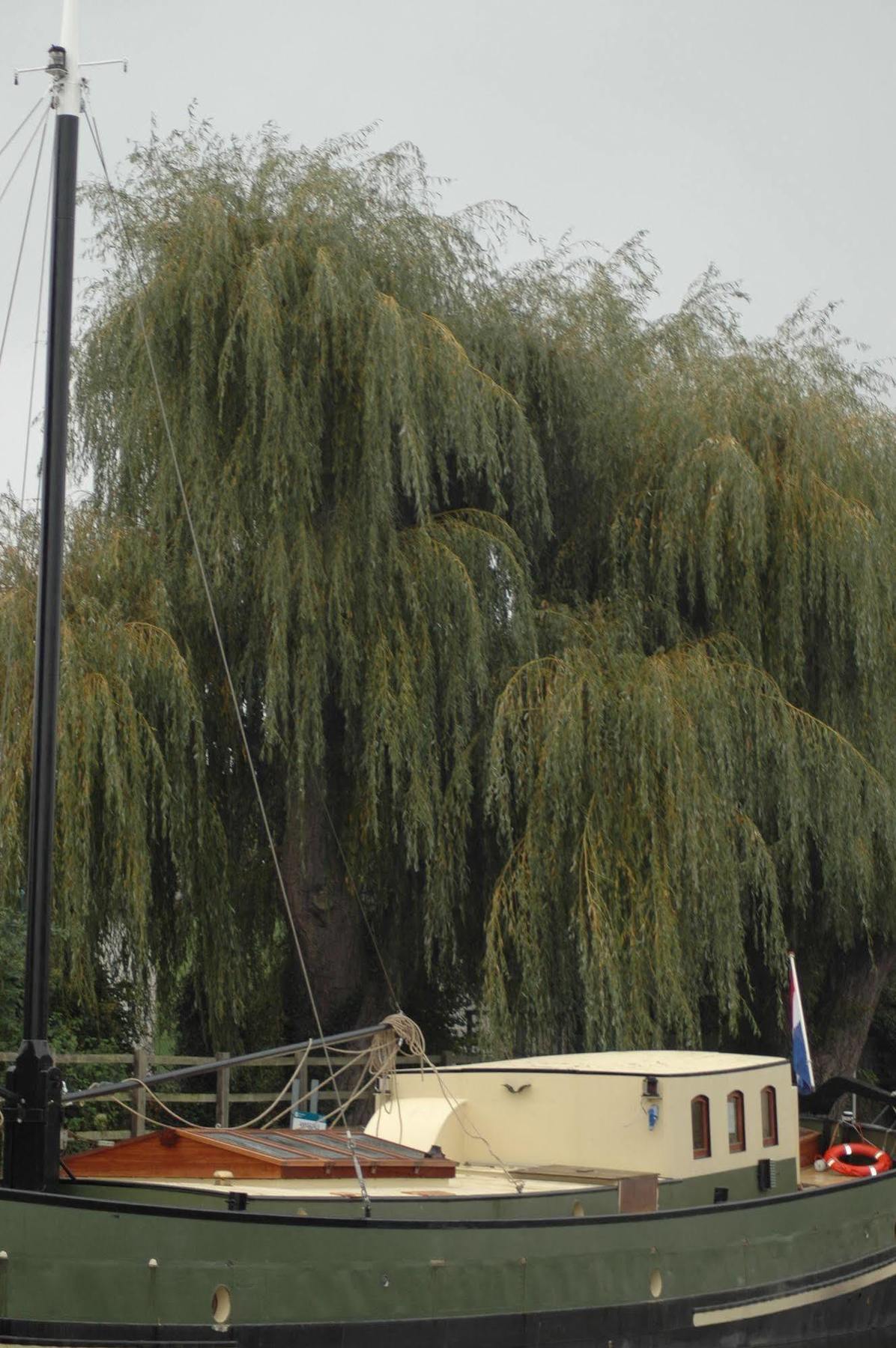 Hotel Barge Waternimf Ely Exteriér fotografie